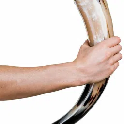 ascent india Horn With Horn Stand Drinking Beer And Home Decorative Item Natural Finish With Brass Border Ceramic Beer Mug image 2