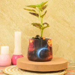 sone key chidiya Milo Iron Red Desk Pot-picture-26