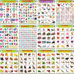 Tamil & English Wall Charts (12 Charts ) Back to Back | 37 x 48 cm - Kids Wall Picture Chart | Tamil Alphabets, English Alphabets, Numbers Fine Art Print-23