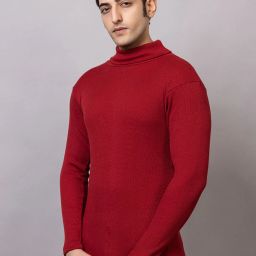 Men Solid High Neck Maroon Sweater-image-92
