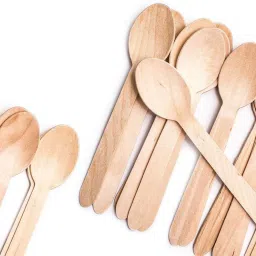 Disposable Wooden Serving Spoon Set-image-9