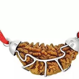 Original Nepali 1 Mukhi Rudraksha Original Nepali 1 Mukhi Rudraksha Wood Pendant-image-44