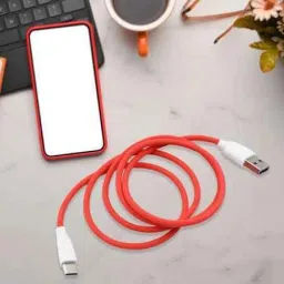 BUSIN Red FAST C TYPE USB Phone Converter-53