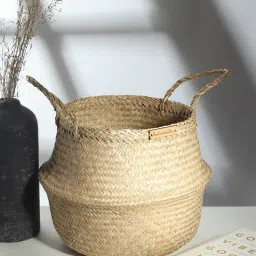 habereindia Beige Fibre Plant Basket- Medium-picture-45