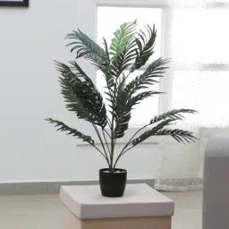 Polyester Areca Palm Artificial Plant With Pot by Arick Decor-picture-27