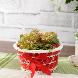 Aapno Rajasthan Red & White Textured Multipurpose Storage Basket-57