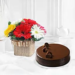 Elegant Gerbera Arrangement N Truffle Cake-image-81