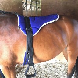 BLESSING COMBO SET OF HORSE RIDING SADDLE Saddle-12