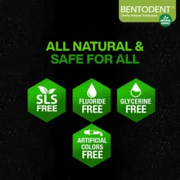 bentodent Activated Charcoal Toothpaste with a Soft Charcoal Bamboo Toothbrush image 4