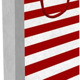 Printed Party Bag-image-84