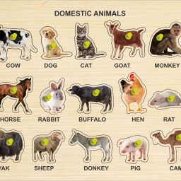 Wooden Puzzle of Domestic Animal Name, Image with Color for Kids Education-16