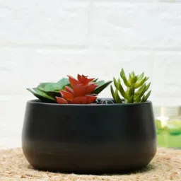 Black Metal Handi Desk Pot By Gold Dust-picture-9