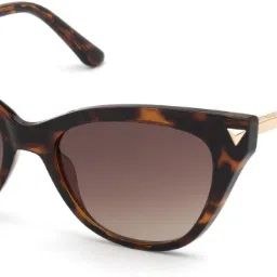 UV Protection Aviator Sunglasses (60)-image-29