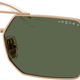 Polarized Over-sized Sunglasses (55)-picture-25