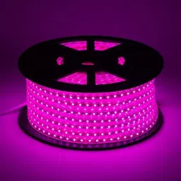 880 LEDs 10 m Pink Steady Strip Rice Lights-image-9
