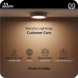 murphy Ceiling Light Ceiling Lamp image 5