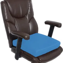Chair Pad Foam Solid Chair Pad Pack of 1-11