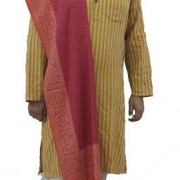 Vrinde Pashmina Embellished Women, Men Shawl-image-30