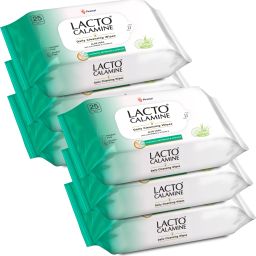 Daily Cleansing wipe with Aloe Vera, Cucumber, Vitamin E, Paraben & Alcohol Free Makeup Remover-30