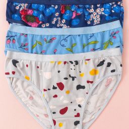 Pack of 3 Women Hipster Multicolor Panty-image-30