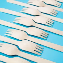 Disposable Wooden Dessert Fork-image-66