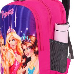 Princess 47cm 1st/2nd/3rd/4th & 5th class Lightweight school Bag for Boys &Girls Waterproof School Bag-image-46