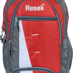 Medium 29 L Laptop Backpack Grey Red Printed School Bag-image-4