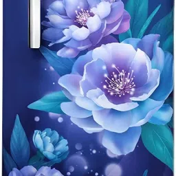 175 L Direct Cool Single Door 1 Star Refrigerator-image-5
