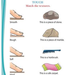 Dreamland Kids Science Activity Book image 2