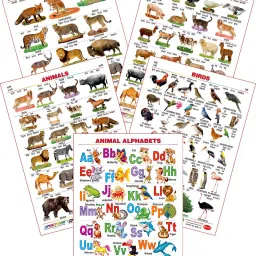 Set of 5 Educational Large Wall Charts : ( Wild Animals , Domestic Animals , Animals , Birds & Animals Alphabet )-13