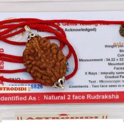 2 Mukhi Rudraksha | Two Face Rudraksh Pendant With Lab Certificate Wood Pendant-17