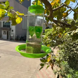 Window Bird Feeder Bird Feeder-image-62