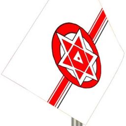 The Flag Company JANASENA Car Dashboard Flag - Silver Acrylic Rectangle Car Dashboard Flag-image-89
