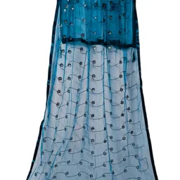 Net Embroidered Light Blue Women Dupatta-picture-8
