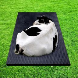 A70Black Cow Mat For all animals, BPA Free, Easy Clean And Waterproof Size 8*5 | Cow, Hamster Pet Mat-image-92