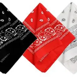 shiveyeexport Black, Red, White paisley 20inchesx20inches cotton handkerchief ["Black, Red, White"] Handkerchief-image-26