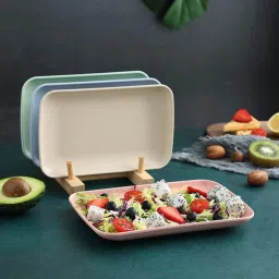 besillia Lightweight Wheat Straw Rectangular Plate - Reusable Durable Lightweight Salad Rice Plates image 3