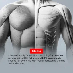 bigmuscles nutrition Creatine Monohydrate | ProHydrolase Techno. for Enhanced Absorption | Lab Tested Creatine image 5