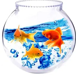 Collar 8 Inch 12 Round Ends Aquarium Tank-image-4