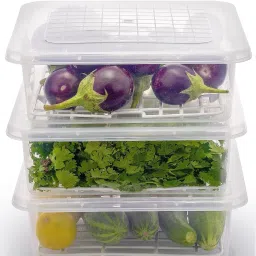 Plastic 3pcs Fridge Storage Basket Box Freezer Containers Food Dry Fruit Vegetables 1.5L Storage Basket-18