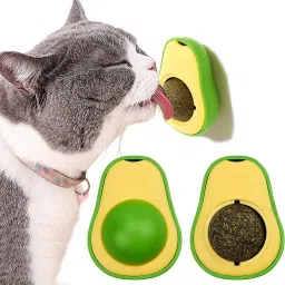 Cats Lick Teeth Dental Catnip Wall Treats PP (Polypropylene) Treat Dispensing Toy For Cat-26