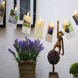 SPARK WORLD Yellow Photo-Clip String Lights-52