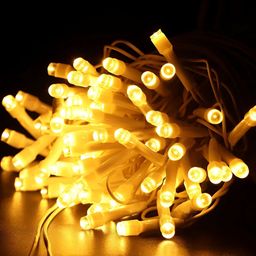 ENORMITY Rice Shape String Lights-16
