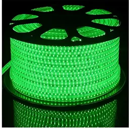 ENORMITY Green Rice Shape String Lights image 5