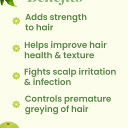 VITMINVEDA Set of 2 Tea Tree, Ritha & Amla Shampoo to Nourish Hair - 200 ml Each image 2