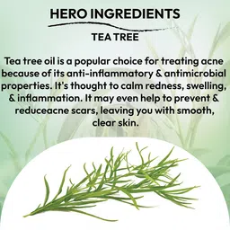 LUVYH Advanced Set of 2 Tea Tree Scrub for All Skin Types - 100 g Each image 3