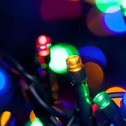 SPARK WORLD Black Rice Shape String Lights image 2