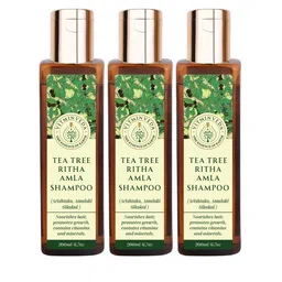 VITMINVEDA Set of 3 Tea Tree, Ritha & Amla Shampoo to Nourish Hair - 200 ml Each-13