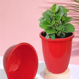 Kuber Industries White & Red 6-Pcs Textured Planters Pots-13