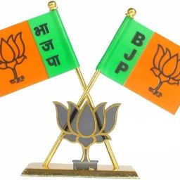 bjp flag Double Sided Wind Car Dashboard Flag-image-31